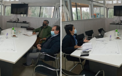 REUNION Pillanlelbun