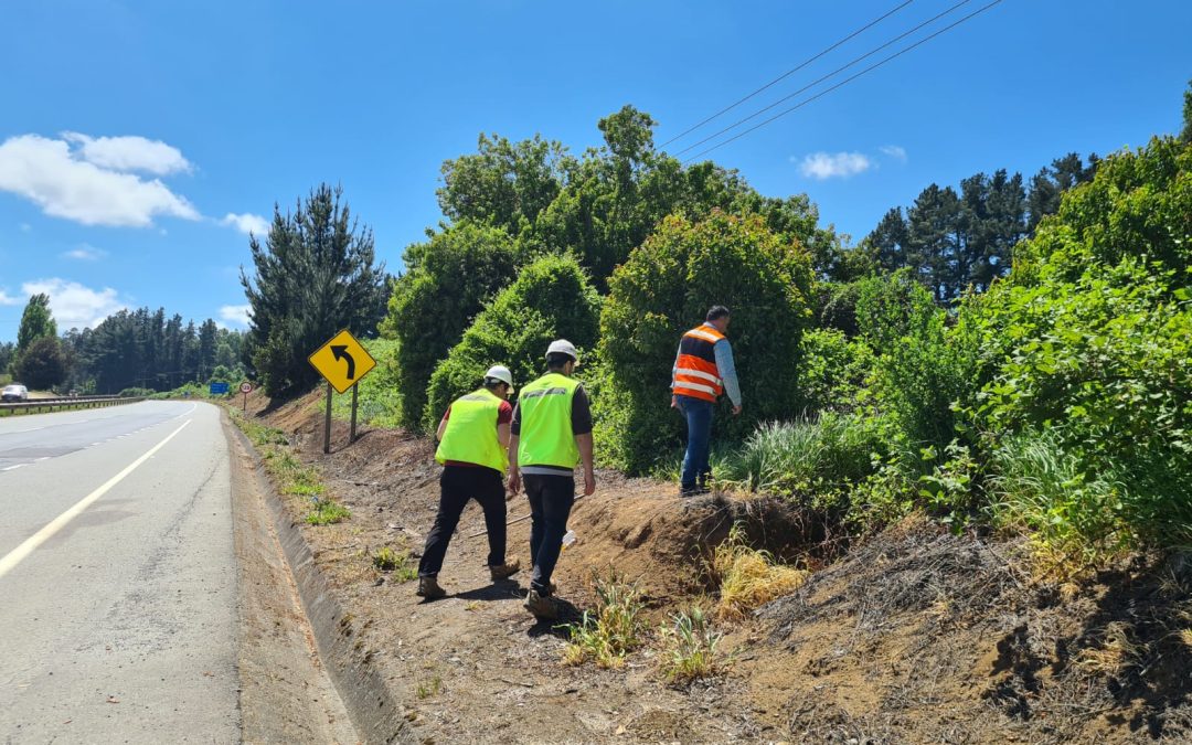 SE CONCRETA ESPERADA ENTREGA DE PARALELISMO DE RUTA 5 SUR DEL PROYECTO COLLIMALLÍN COMUNA DE LONCOCHE