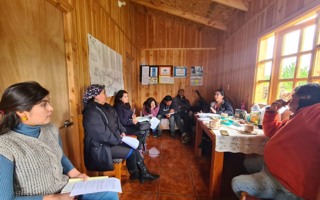 REUNIÓN TÉCNICA ENTRE COMITÉ SAN RAMÓN Y MUNICIPALIDAD DE LONCOCHE