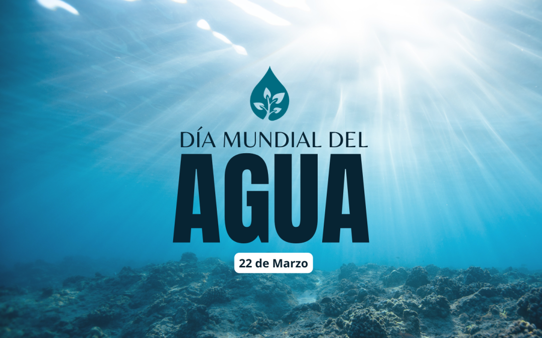 Día Mundial del Agua 2023