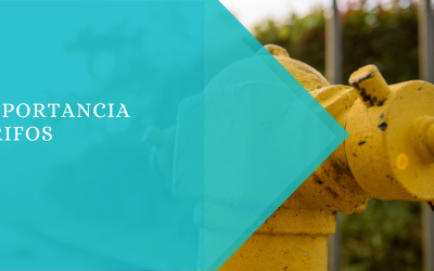 Importancia y cuidado de grifos