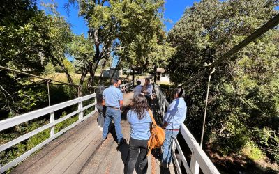 Inspección fiscal en proyecto en prefactibilidad APR El Manzano, comuna de Vilcún