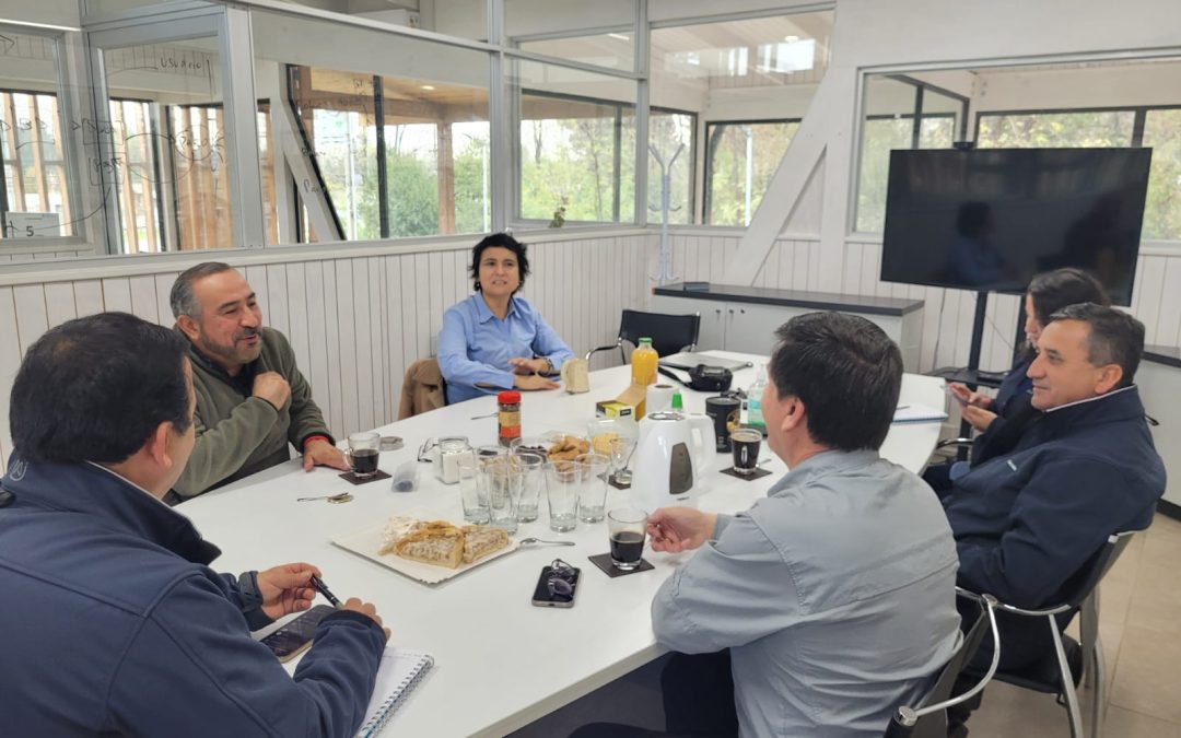 Reunión con Superintendencia de Servicios Sanitarios de la Araucanía.