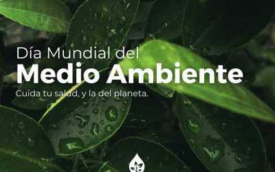 Día Mundial del Medio Ambiente