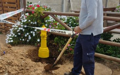 Información | Pichidangui 📍