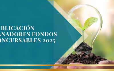 PUBLICACIÓN GANADORES FONDOS CONCURSABLES 2025