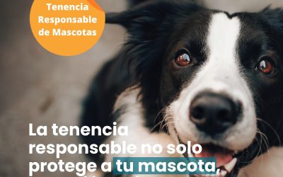 ¡La tenencia responsable no solo protege a tu mascota, también cuida a nuestros trabajadores!