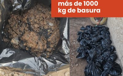 Limpieza de colectores: Más de 1000 kg de basura
