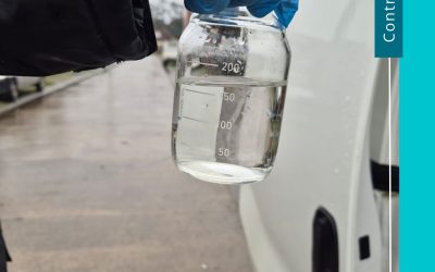 Control de calidad | Panitao