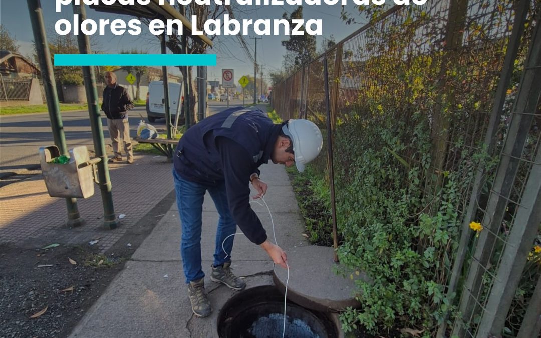 ¡Revisión exitosa en Labranza!