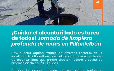 Jornada de limpieza profunda de redes en Pillanlelbún