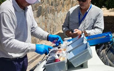 Muestreos de calidad diarios en la localidad de Los Molles y Pichidangui