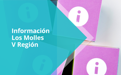 Información lavado de red | Los Molles